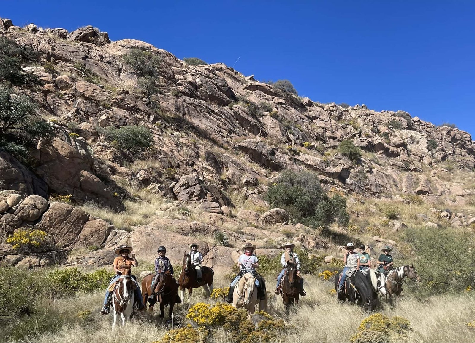 Peace & Plenty Ranch Horses